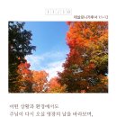 화목사 이미지
