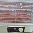 반려동물수제간식만들기 | 키친아트 가정용 식품 건조기 반려동물 수제 간식 만들기실사용 후기 (feat. 닭가슴살 )