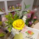 수원-0355 이미지