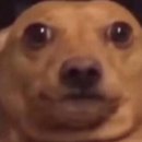 MEMO-메모 이미지