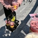 봄봄제주아라점