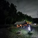 도담소리숲 유치원 | 대구 앞산 달서별빛캠프 데크 명당부터 물놀이장 숲놀이터 총정리