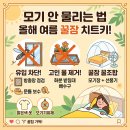 보리수약국 - 북구 비엔날레로 93 | 귓가에 "으윙~" 소리 소름 돋는다면? '이곳' 안 막으면 모기 향 백날 피워도 소용없어요
