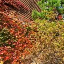 (주)가야호텔 이미지