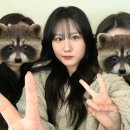 시온통닭 이미지