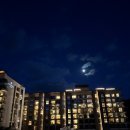 나인 게임장 이미지