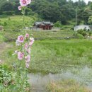 시동리경로당 네이버블로그