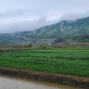 봉산태양광발전소 이미지