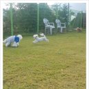 구암동428 이미지