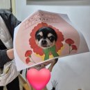 굿청송본가 | 11살과 30살 일상 이모저모