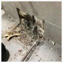 익산싱크대변기하수구막힘뚫음고압세척누수탐지 이미지