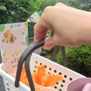 쌍둥이 펜션 | 아침고요동물원 4세 쌍둥이 가족 방문 후기