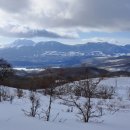 종은목장2 이미지