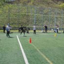 다다예술학교 이미지