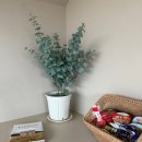 어나더 제주 이미지