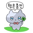 예뻐질고양 이미지