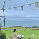 [부산여행/기장] 아난티힐튼 부산의 모든것, 국내수영장 호캉스 맛집 힐튼호텔 💙 아난티코브/이연복...