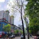 태평제일불가마사우나 이미지