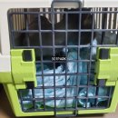 고양이미용연구소 이미지