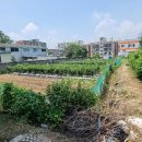 대구문성초등학교 이미지