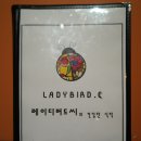 레이디버드씨 이미지
