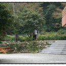 충남민박 이미지