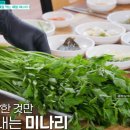 아카시아집 민박 이미지