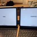 스카이블루 이미지