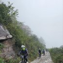 동양훼리