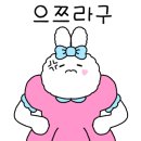 초월짬뽕 이미지