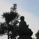 성복사