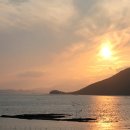 순천만습지 이미지