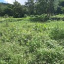 불은면-6 이미지