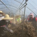 농협금산군지부 이미지