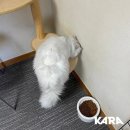 쉼터갈비