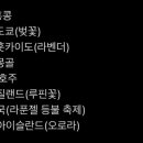 (주)우와 이미지