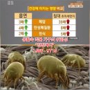 로얄세탁 | 전주 / 익산 / 논산 / 김제 / 부안 / 군산 침대 청소 얼룩제거 전문업체