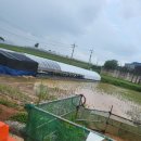 행정사법인 해사인 이미지