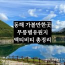 정원센텀스카이 | 강원도 동해 가볼만한 곳 무릉별유천지! 루지·짚라인·알파인코스터·스카이글라이더 액티비티 총정리