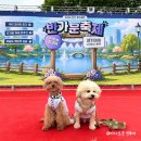 외검경로당 | 안산 2026 반가운축제 후기, 호수공원 반려견축제 선물 폭탄 혜택!