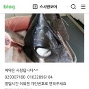 스시앤모어 이미지