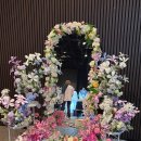 [삼성역 웨딩박람회] 플랜온웨딩 정겨운 플래너 상담 후기