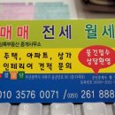 황미장