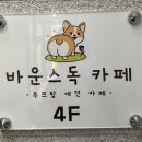 바운스독카페 이미지