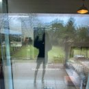 스테이 댕댕 이미지