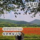 인생네컷밀양삼문점 | 밀양 아기랑 가볼만한곳 삼문동 수변공원 양귀비 실시간