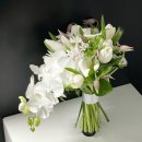 카라 | 웨딩촬영 생화부케 화이트 카라 추천 후기 웨이브무드