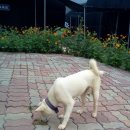 순풍농장 이미지