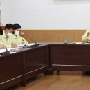 강진-8 이미지
