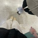 대영 스포렉스 이미지